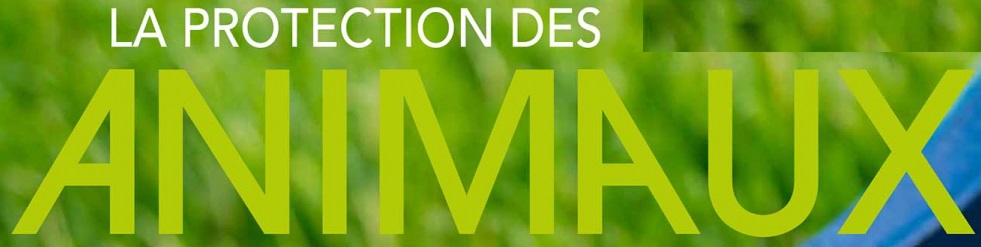 laprotection-257-juillet2023-une-1166x1500.jpg